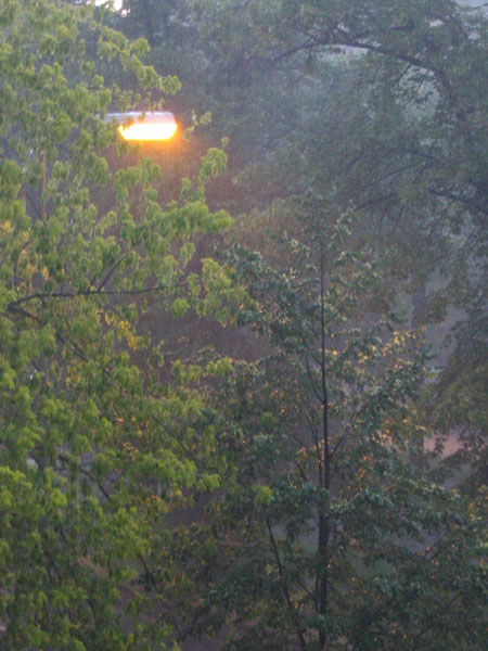 Lluvia
