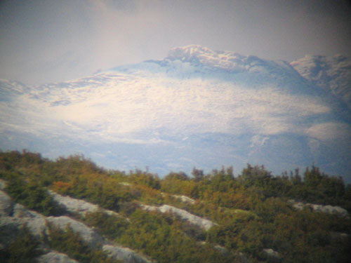 Monte